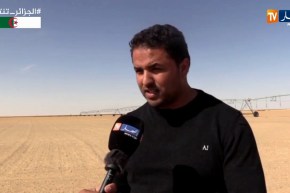 ورقلة/ فلاحو قاسي الطويل..بعد أن تحدوا الطبيعة القاسية هزمتهم الكهرباء الفلاحية