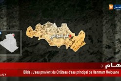 أم البواقي: الأمن يحجز 40 كلغ من القنب الهندي.. التفاصيل