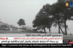 برج بوعريرج: الثلوج تكسي مختلف بلديات الولاية