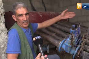 باتنة: الجفاف يهدد 40 ألف شجرة مشمش في قرية الشعبة ببلدية أولاد سي سليمان