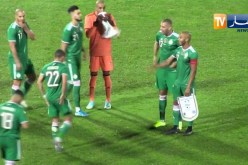 خضر بلماضي يسيطرون بكل الأرقام ويسيرون في طريق العالمية بعد تسيد إفريقيا