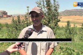 تيزي وزو : أسر منتجة تصنع التميز من إيمالوسن في النشاط الفلاحي