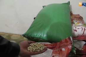 الأغواط : الإقامة الجامعية “برطال بوزيد” تكذب الفيديو الذي يظهر الوضعية الكارثية للإطعام