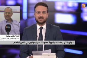 دجاج يغذى بمكملات وأدوية ممنوعة..مربو الدواجن في قفص الإتهام