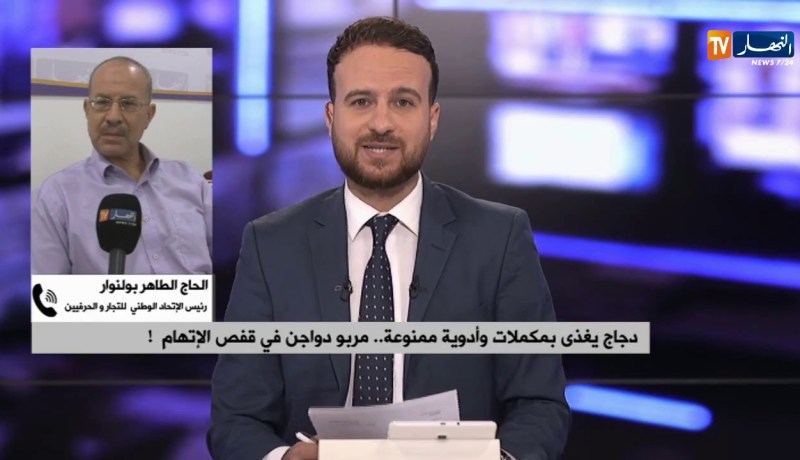 دجاج يغذى بمكملات وأدوية ممنوعة..مربو الدواجن في قفص الإتهام