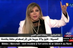 فلة عبابسة: وزراء الثقافة ليست لديهم أي كلمة أمام لخضر بن تركي