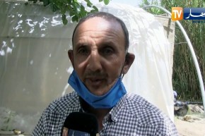 جيجل: “عمي عشور”  نموذجا ناجحا في تربية أسماك الأحواض ودمجها مع الزراعة