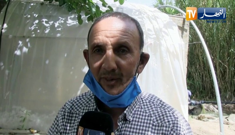 جيجل: “عمي عشور”  نموذجا ناجحا في تربية أسماك الأحواض ودمجها مع الزراعة