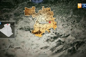 سطيف: حجز 3 قناطير من اللحوم الحمراء غير صالحة للإستهلاك