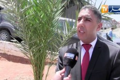 عدالة: “الإخوة عولمي” أمام قاشي التحقيق بمحكمة سيدي محمد الأحد