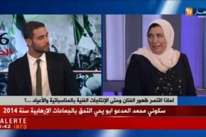 لماذا إقتصر ظهور الفنان وحتى الإنتاجات الفنية بالمناسباتية والأعياد..؟