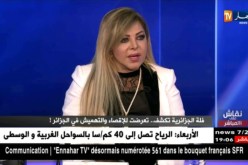 فلة عبابسة..لخضر بن تركي هو سبب مايحدث لي