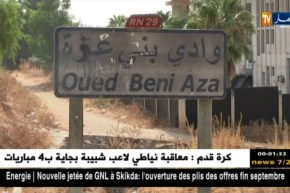 صحة: تحديد مصدر وباء الكوليرا بوادي عزة بولاية البليدة