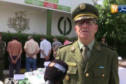 الطارف: توقيف 7 أشخاص وحجز 120 شجيرة من القنب الهندي بدوار الجنين