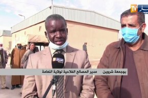 النعامة: فتح فرعين للتموين بمادة الشعير العلفي والبذور للفلاحين والموالين