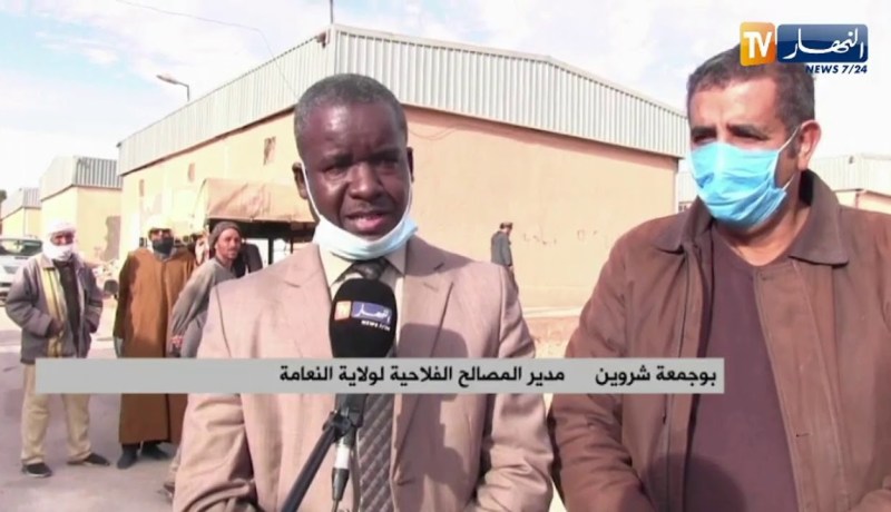 النعامة: فتح فرعين للتموين بمادة الشعير العلفي والبذور للفلاحين والموالين