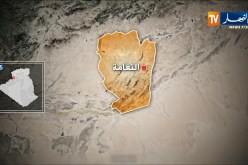 النعامة: حجز 8 آلاف و88 وحدة من المشروبات الكحولية