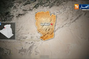 النعامة: حجز 8 آلاف و88 وحدة من المشروبات الكحولية