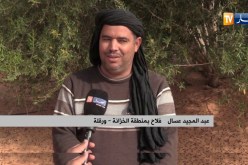 ورقلة/ فلاحو منطقة الخزانة يطالبون بدعم السلطات وإنقاذ نشاطهم الفلاحي