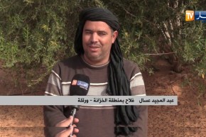 ورقلة/ فلاحو منطقة الخزانة يطالبون بدعم السلطات وإنقاذ نشاطهم الفلاحي