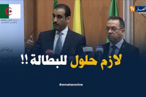 المدير العام لمنظمة العمل العربية : ” هاجسنا الكبير هو إيجاد الحلول ومحاربة البطالة !! “