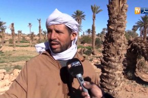 بشار/ واحات الساورة مهددة بالإتلاف بسبب الجفاف