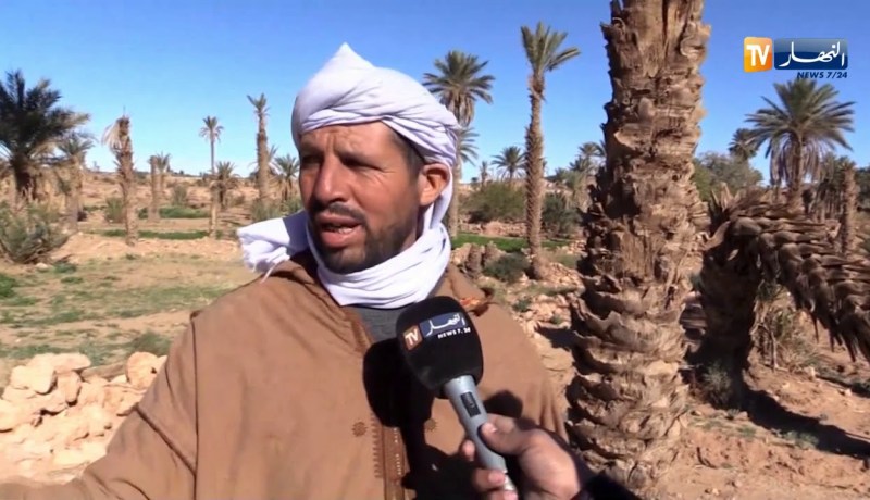 بشار/ واحات الساورة مهددة بالإتلاف بسبب الجفاف