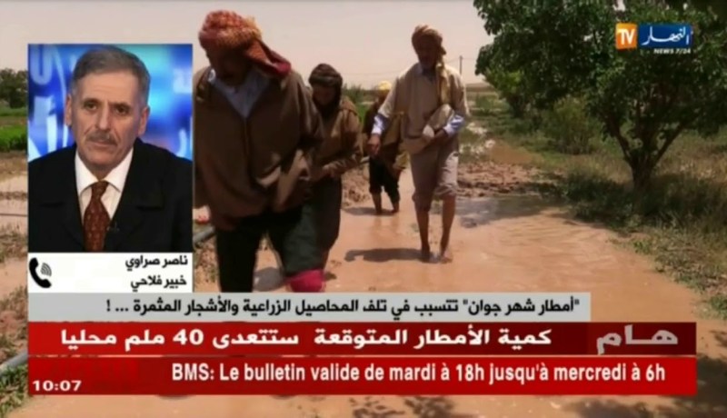 “أمطار شهر جوان” تتسبب في تلف المحاصيل الزراعية والأشجار المثمرة…!