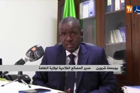 النعامة: مديرية المصالح الفلاحية تباشر بإستقبال ملفات الدعم الفلاحي