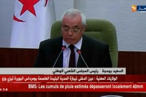 برلمان: بوحجة.. نستنكر إستغلال رمز البرلمان الأوروبي لنفث سموم حاقدة على الجزائر