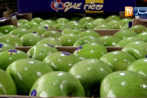 تجارة: حماية للإنتاج الوطني..  تعليق إستيراد 13 منتجا فلاحيا