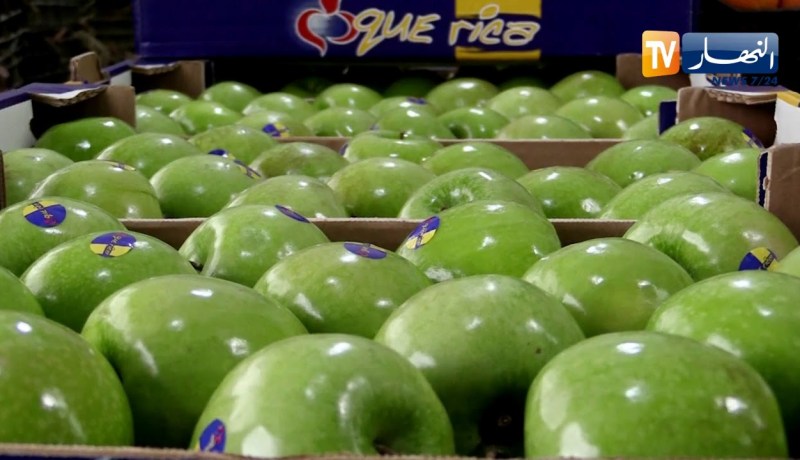 تجارة: حماية للإنتاج الوطني..  تعليق إستيراد 13 منتجا فلاحيا