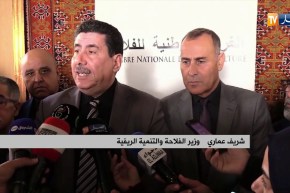 وزير الفلاحة: “نفضل إستيراد العجول الحية لخلق قيمة مضافة للإقتصاد وتوفير مناصب شغل”