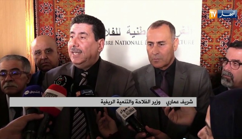 وزير الفلاحة: “نفضل إستيراد العجول الحية لخلق قيمة مضافة للإقتصاد وتوفير مناصب شغل”