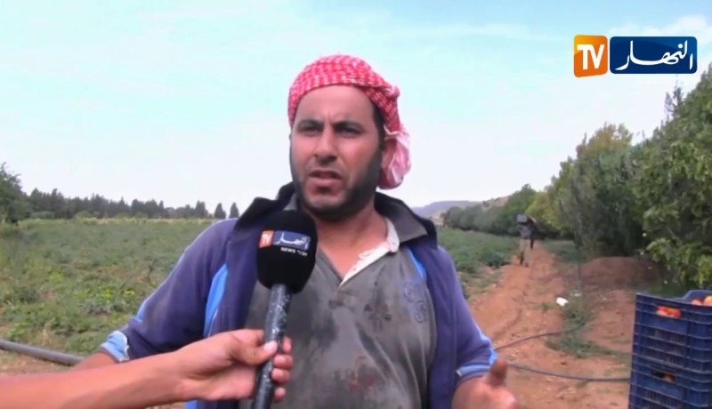 سعيدة/ فلاحون بدوار بوعمر يبحثون عن سبل لتطوير نشاطاتهم الفلاحية