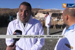 الجلفة/ إجراءات وخرجات ميدانية بعد إكتشاف بؤر لوباء طاعون المجترات الصغيرة