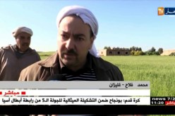 غليزان/ فلاحون ينتظرون الدعم لإنقاذ محصول القمح من إنتشار الأمراض الفطرية
