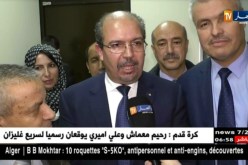 محمد عيسى : الجامع الأعظم تستلمه الجزائر في ديسمبر 2018 بكل مركّباته