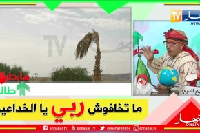 طالع هابط: شاهد فضيحة أشجار النخيل بالشلف..  كاااارثة