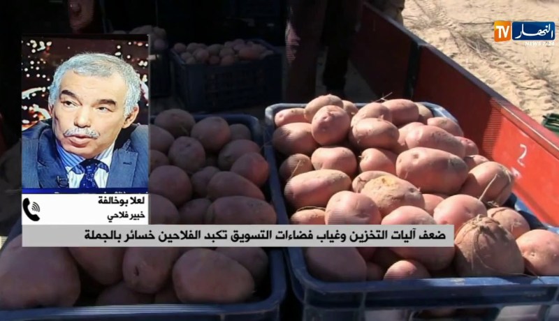 ضعف آليات التخزين وغياب فضاءات التسويق تكبد الفلاحين خسائر بالجملة