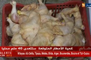 تجارة: أسعار اللحوم البيضاء تلتهب.. ومربو الدواجن في قفص الإتهام