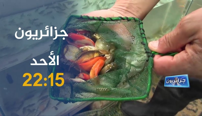 جزائريون / فريق يصنع أول جهاز للتنفس الإصطناعي بوسائلهم الخاصة .. ترقبوها