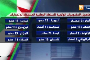تفاصيل المندوبيات الولائية للسلطة الوطنية المستقلة للإنتخابات