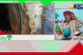 “طالع هابط: الشيخ النوي..” ناس مشتاقة ماء وهو ضايع خسارة في وهران