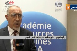 تشغيل: دورات تدريبية من تأطير مكتب العمل الدولي لفائدة رؤساء المؤسسات