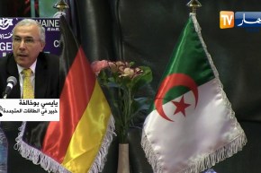 طاقة: سونلغاز تباشر المشاورات مع الالمان للإنطلاق في تجسيد مشروع ديزرتيك