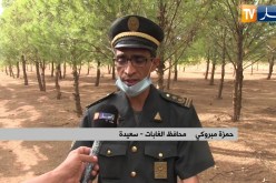 سعيدة: تشجير أكثر من 8000 هكتار من الأراضي السهبية لمواجهة التصحر