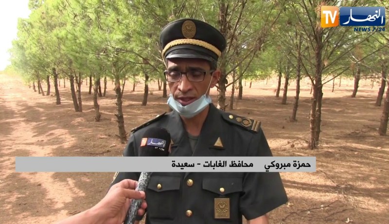 سعيدة: تشجير أكثر من 8000 هكتار من الأراضي السهبية لمواجهة التصحر