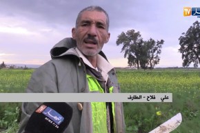 نقاش على المباشر: 5 وفيات داخل ورشة بناء في ظرف 10 أيام