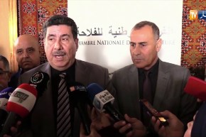 وزير الفلاحة: “ضرورة توفير بذور تتأقلم مع الظروف المناخية الصعبة..مع إعتماد مخطط وطني للمناخ”